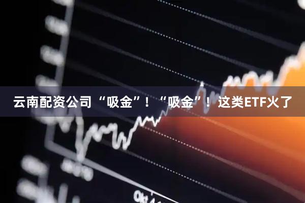 云南配资公司 “吸金”！“吸金”！这类ETF火了